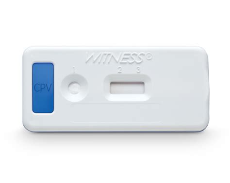 parvo test results|Parvo Rapid Test .
